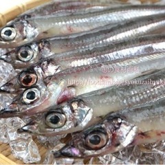 飲み仲間募集❗️今日一緒に飲みませんか？ - 岡崎市