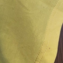 スリランカで購入 スリランカポロシャツ  新品未使用ですがシミ傷ありの画像