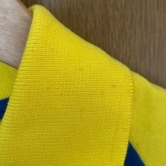 スリランカで購入 スリランカポロシャツ  新品未使用ですがシミ傷ありの画像