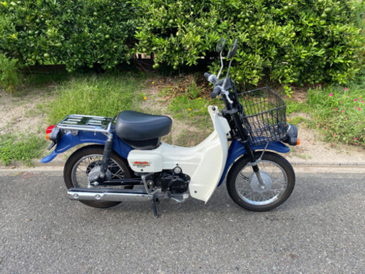 バーディー50 インジェクション