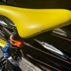 2019 tern surge proの画像