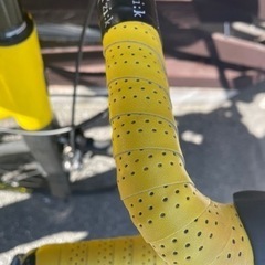 2019 tern surge proの画像