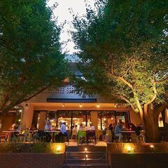 11月13日(日) 18:45開催*KIHACHI青山本店* C...