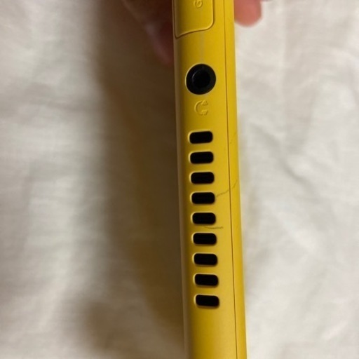 Nintendo Switch Lite本体と充電器➕ポケモンのカセット2本