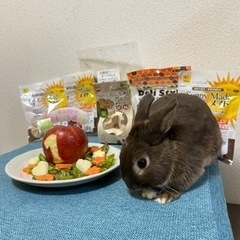 うさ友さん募集中🐰︎💕︎