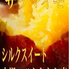干し芋屋さんのサツマイモ 品種 シルクスイート1kg～