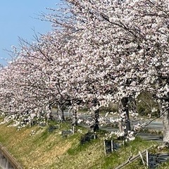 国道161号の道幅を広げ安全性を語るサークル − 滋賀県