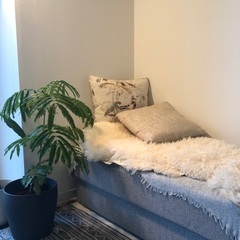 ソファベッドの画像