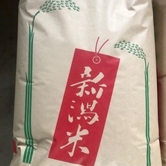 令和4年度　岩船産コシヒカリ　玄米　30キロ