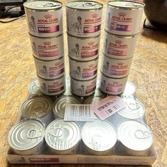 24個　ロイヤルカナン 療法食 腎臓サポート缶 犬用 ウェット 200g×24個の画像