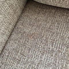 ワンシーター@目黒区の画像