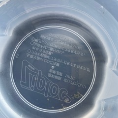 メダカ　稚魚