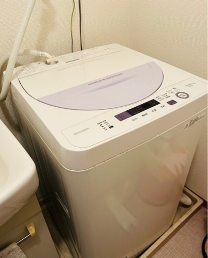 ■ 【受付終了】シャープ　洗濯機(5.5kg)