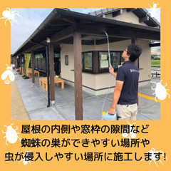 大好評！先着20件限定無料施工！！残り7件です！　蜘蛛の巣や虫でお困りごとありませんか？　建物に虫が寄り付かない!?　外から虫の侵入を防ぐ!! - 浜松市