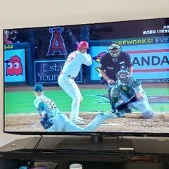 シャープAQUOS有機ELテレビ55v型4T-C55DQ1　