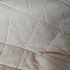 イブサンローラン シングル ボアシーツの画像