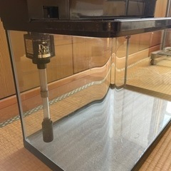 60センチ水槽セットの画像