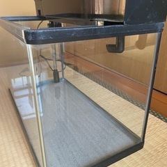 60センチ水槽セットの画像