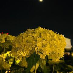 今から彩湖グリーンパークに行きます