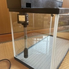 60センチ水槽セット　②の画像