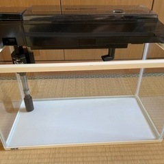 45センチ水槽セット