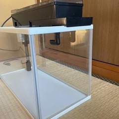 45センチ水槽セットの画像