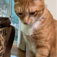 楽しい仲間集合