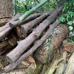 スギ　その他の木　薪ストーブ　薪　焚火　キャンプ バーベキュー　...