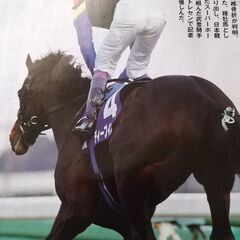 馬好きな女性、競馬に興味ある女性