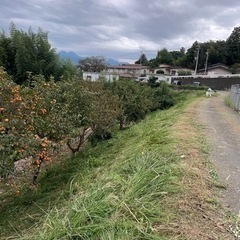 16日、今週日曜日、草刈り手伝える人募集！