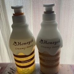 決まりました。ハニーチェ　シャンプー＆トリートメント