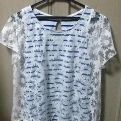 Tシャツ
