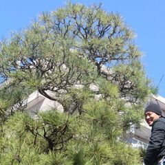 技術だけではない。頭もつかう。感性も必要。難しそう？？スタートを切らなければいつまでもどこにもいけない!!の画像