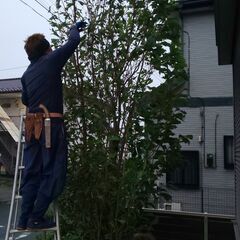 勤務地は東京都内・埼玉県南部など！！週2～でも大歓迎！女性も活躍中！技術と感性を磨き、手に職をつけてみませんか？12,000円/日～★造園作業☆植木屋☆庭師☆一人親方☆未経験者も大歓迎☆の画像