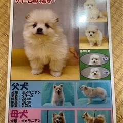 募集多数の為応募停止します。