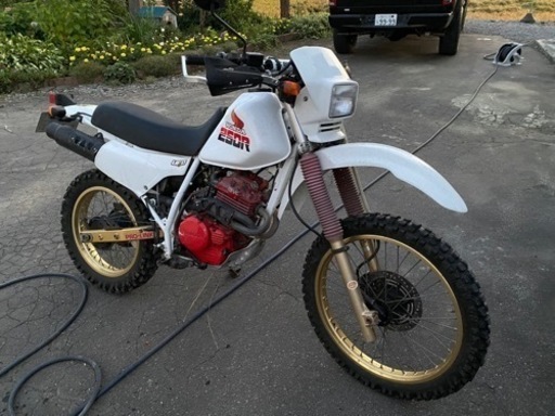 ホンダ　XLR250 自賠責2年付