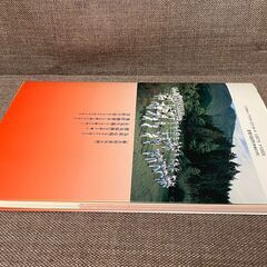 気功太極拳24式の画像