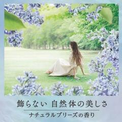 初回限定特価！フレアフレグランス ナチュラルブリーズ 詰替 特大 710ml2個の画像
