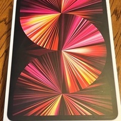 ＊美品＊iPad Pro 11インチWi-Fi+Celluler (値下げ可能)