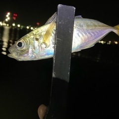 釣り具から釣り方釣り場所教えます。