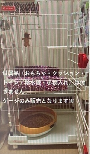 【決定しました】猫ゲージ　アイリスオーヤマ