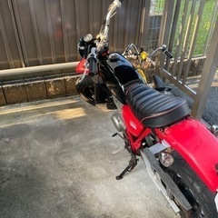 エイプ50の画像