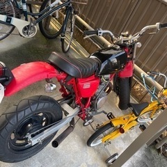 エイプ50の画像