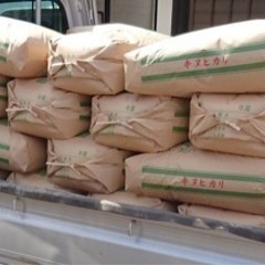 値下げ‼️キヌヒカリ　令和４年 ！　新米