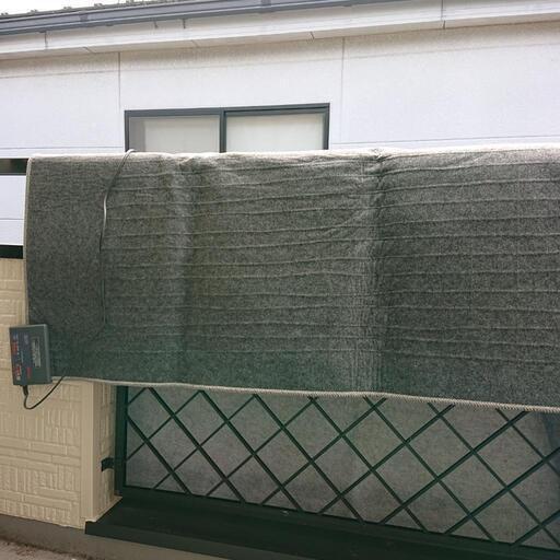 電気カーペット