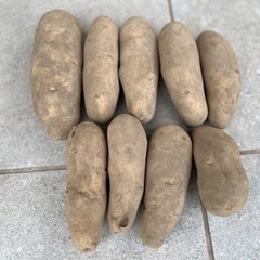 十勝 川西産 ５kgじゃがいも(メークイン)