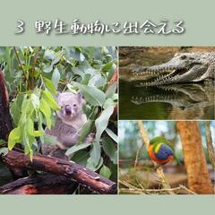 【オーストラリア🇦🇺ケアンズ留学】の画像