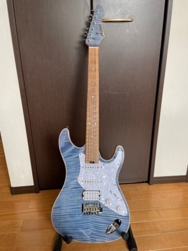 【限定カラー& Mighty Plug付き】 Aria Pro II 714-AE200