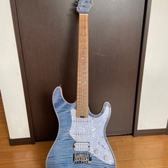 【限定カラー& Mighty Plug付き】 Aria Pro ...