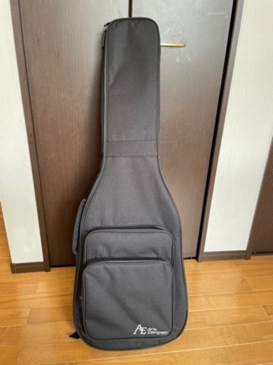 【限定カラー& Mighty Plug付き】 Aria Pro II 714-AE200